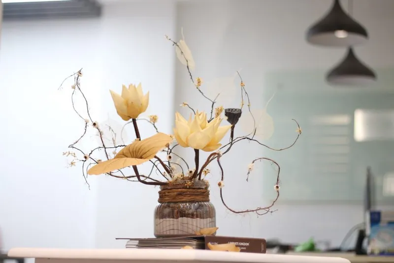Sản phẩm summer 1024x683 — Công Ty TNHH Marguerite — MST 0312701586