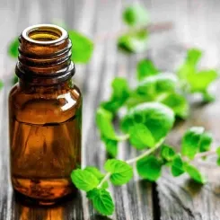 Sản phẩm s315233337840561257368061 1523 — Công Ty Trách Nhiệm Hữu Hạn Một Thành Viên Thương Mại Và Dịch Vụ Khăn Việt — MST 0312702082