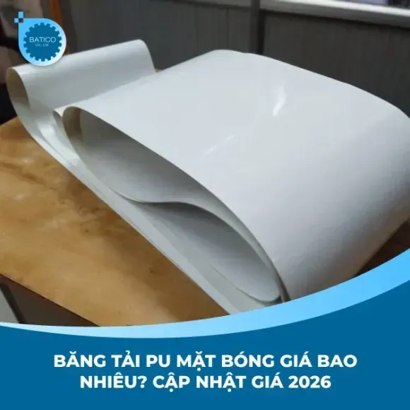 Sản phẩm bang tai pu mat bong gia bao nhieu cap nhat gia 2026_compressed — Công Ty TNHH Sản Xuất Thương Mại Quốc Tế Bảo Tiến — MST 0312702928