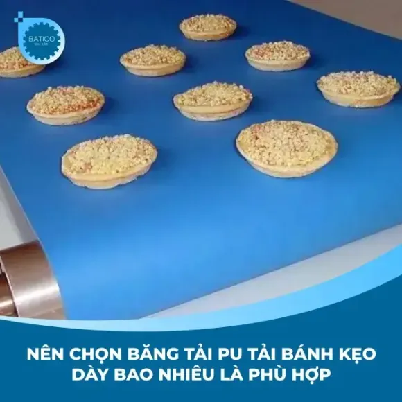 Sản phẩm nen chon bang tai pu tai banh keo day bao nhieu la phu hop_compressed — Công Ty TNHH Sản Xuất Thương Mại Quốc Tế Bảo Tiến — MST 0312702928