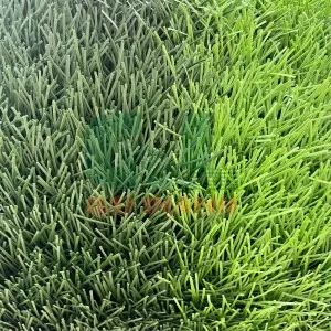 Sản phẩm co san bong dtsbg04 — Công Ty TNHH G&L Đại Thành — MST 0312704724