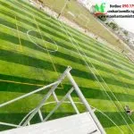 Sản phẩm ben tre 4 1 150x150 — Công Ty TNHH Xuất Nhập Khẩu Tân Minh Thịnh Phát — MST 0312718942