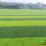 Sản phẩm up8 1 150x150 — Công Ty TNHH Xuất Nhập Khẩu Tân Minh Thịnh Phát — MST 0312718942