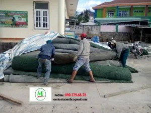 Sản phẩm DL2 300x225 — Công Ty TNHH Xuất Nhập Khẩu Tân Minh Thịnh Phát — MST 0312718942