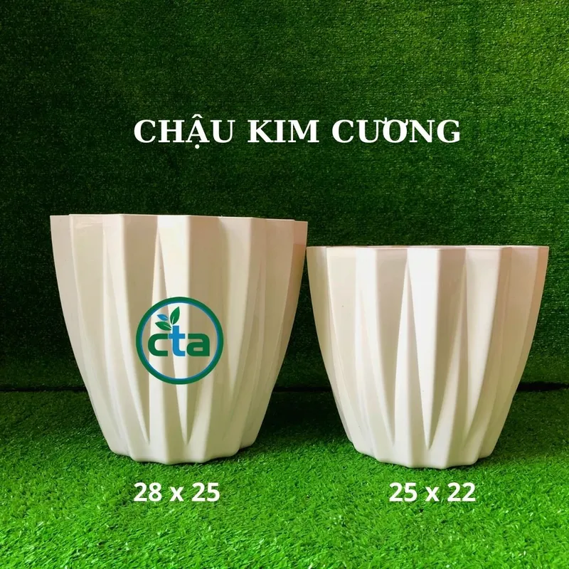 Sản phẩm chau nhua kim cuong — Công Ty TNHH Cảnh Quan VINA Xanh — MST 0312729006