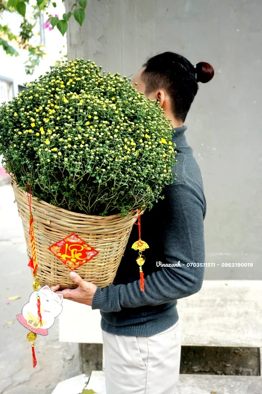 Sản phẩm 18bff6ab854e5d10045f — Công Ty TNHH Cảnh Quan VINA Xanh — MST 0312729006