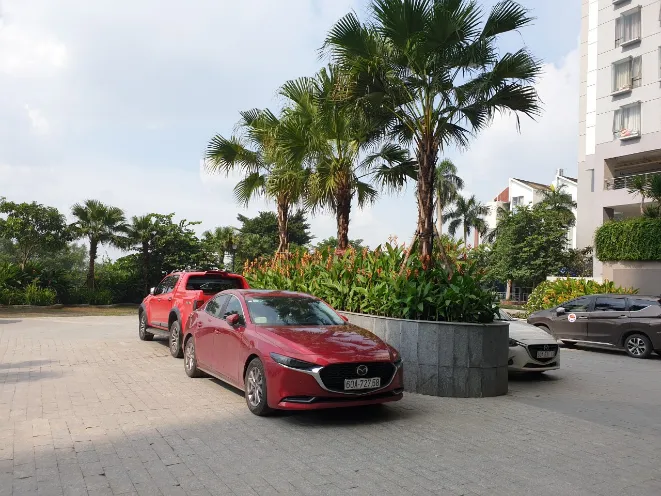 Sản phẩm a04522fde5a3672dfa515396f4415a08 — Công Ty TNHH Cảnh Quan VINA Xanh — MST 0312729006