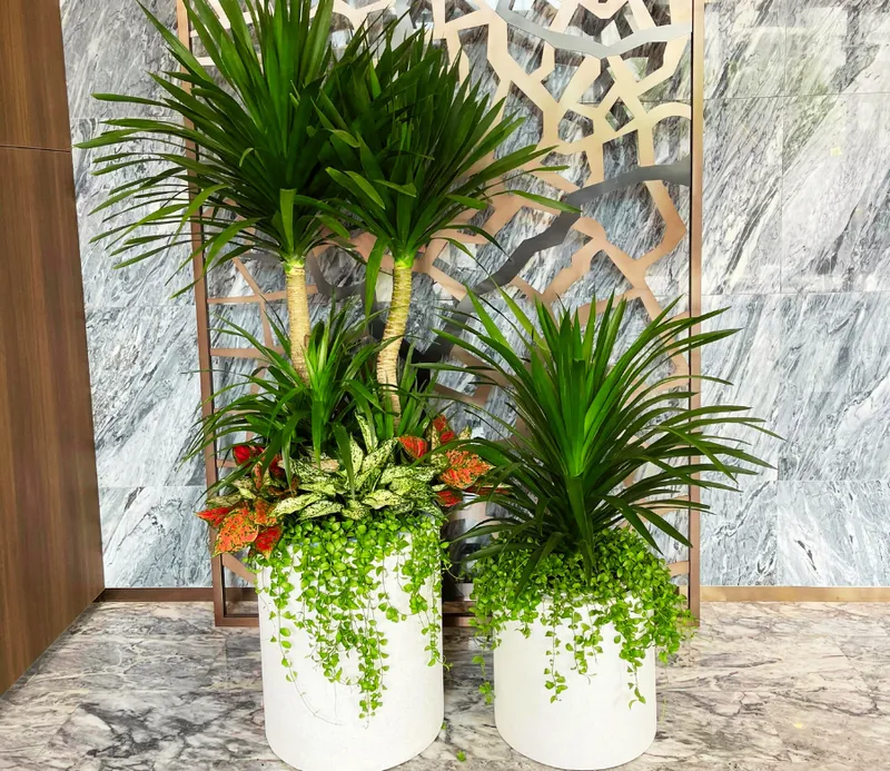 Sản phẩm chau phat tai nui — Công Ty TNHH Cảnh Quan VINA Xanh — MST 0312729006