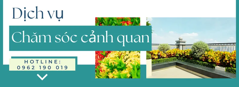 Sản phẩm anh bia website 2024 1 — Công Ty TNHH Cảnh Quan VINA Xanh — MST 0312729006