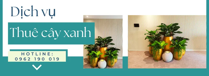 Sản phẩm anh bia website 2024 — Công Ty TNHH Cảnh Quan VINA Xanh — MST 0312729006