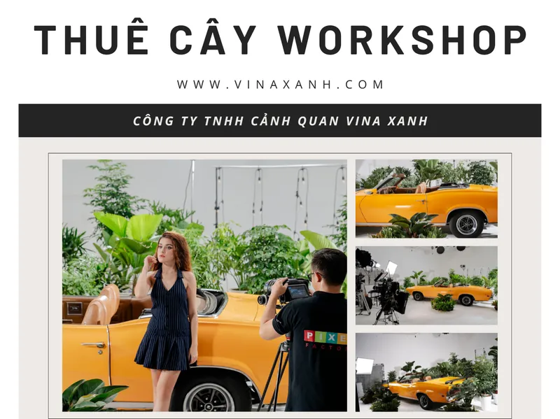 Sản phẩm thue cay chup anh — Công Ty TNHH Cảnh Quan VINA Xanh — MST 0312729006