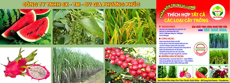 Sản phẩm 10 — Công Ty TNHH Sản Xuất Thương Mại Dịch Vụ Gia Phương Phúc — MST 0312742014