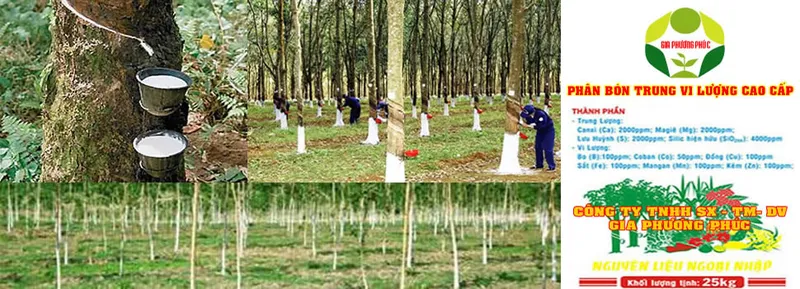 Sản phẩm 9 — Công Ty TNHH Sản Xuất Thương Mại Dịch Vụ Gia Phương Phúc — MST 0312742014