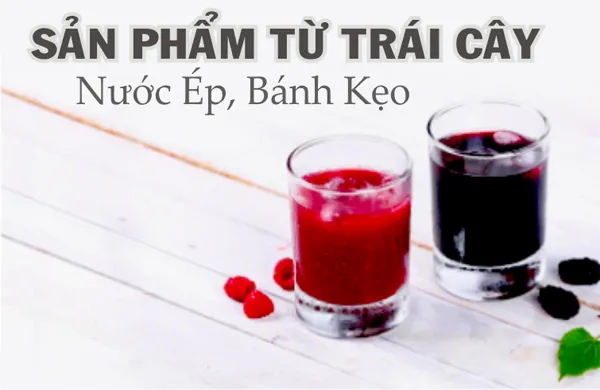 Sản phẩm san pham tu trai cay hat nafarm vn — Công Ty TNHH Sản Xuất Thương Mại Dịch Vụ Lĩnh Nam — MST 0312742991