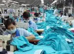 Sản phẩm 122513983912 — Chỉ May Linh Trang - Công Ty TNHH Đầu Tư Sản Xuất Thương Mại Linh Trang — MST 0312743794
