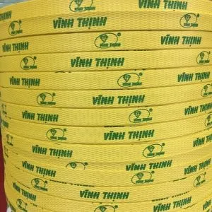 Sản phẩm day dai pp in chu 12MMVA 2 300x300 — Công Ty TNHH XQ Phương Nam — MST 0312744565
