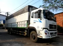 Sản phẩm 071574749631_204x150 — Công Ty TNHH Dịch Vụ Vận Tải Quốc Tế Hoàng Dương — MST 0312767749