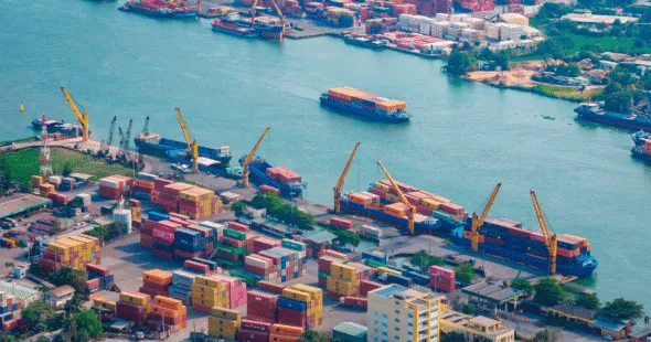 Sản phẩm dong nai2 1779419241554 1779419241711225963629 1 590x310 — Công Ty Cổ phần Tư Vấn Và Đại Lý Thuế TPM — MST 0312787706