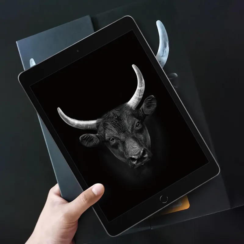 Sản phẩm cuong luc mipow kingbull premium hd 2 7d ipad gen 10 10 9 inch bj204e 4 — Công Ty TNHH DECAL SaiGon — MST 0312788805