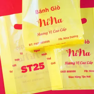 Sản phẩm 13 300x300 — Bao Bì Đại Đại Phát - Công Ty TNHH Bao Bì Đại Đại Phát — MST 0312803281