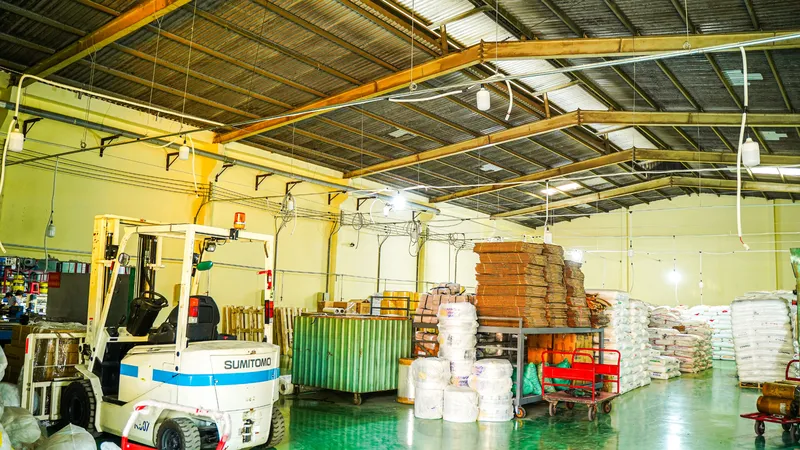 Sản phẩm 8 2 — Bao Bì Đại Đại Phát - Công Ty TNHH Bao Bì Đại Đại Phát — MST 0312803281