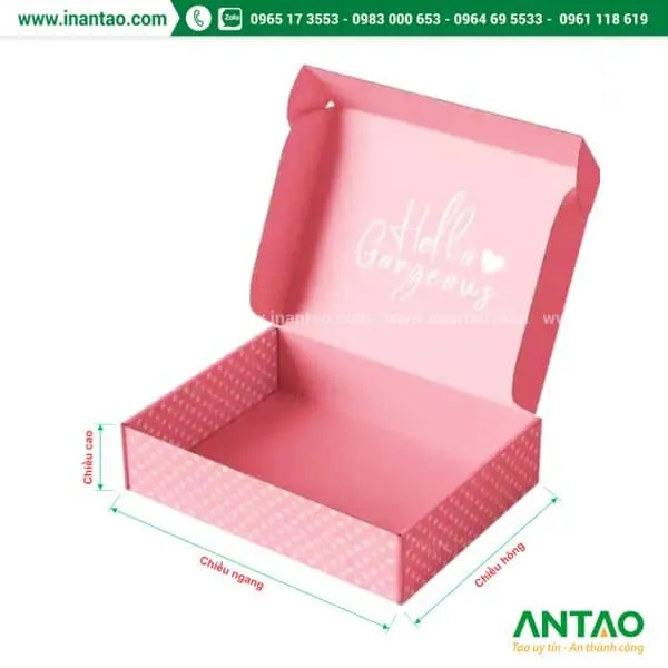 Sản phẩm hop giay nap lat 1 600x600 — Công Ty TNHH Thương Mại Dịch Vụ An Tạo — MST 0312816731