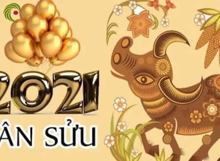 Sản phẩm nam 2021 la nam con gi 1626.jpg — Xây Dựng Phố Việt - Công Ty TNHH Tư Vấn Kiến Trúc Xây Dựng Phố Việt — MST 0312824637