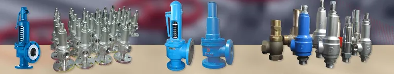 Sản phẩm 26 — Công Ty TNHH Wili — MST 0312850411