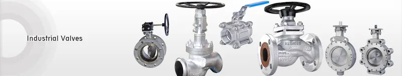 Sản phẩm 31 — Công Ty TNHH Wili — MST 0312850411