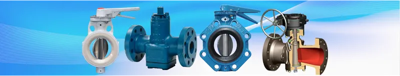 Sản phẩm 32 — Công Ty TNHH Wili — MST 0312850411