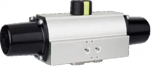 Sản phẩm as 300x134 — Công Ty TNHH Wili — MST 0312850411