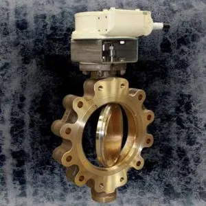 Sản phẩm butterfly valve 300x300 — Công Ty TNHH Wili — MST 0312850411