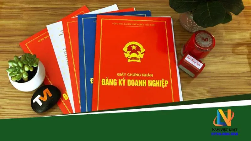 Văn phòng Công Ty TNHH Tư Vấn Phát Triển Nam Việt Luật #1 — MST 0312856124