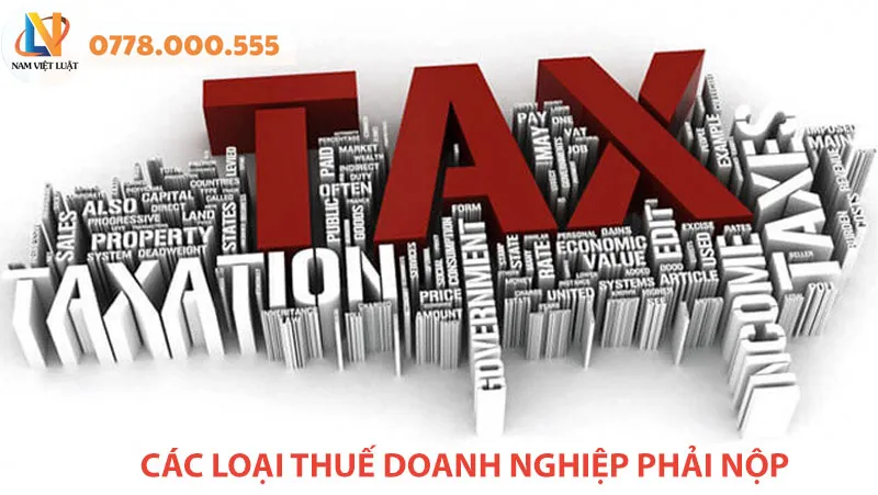 Sản phẩm cac loai thue doanh nghiep phai nop — Công Ty TNHH Tư Vấn Phát Triển Nam Việt Luật — MST 0312856124