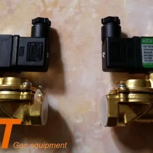 Sản phẩm 1 van dien tu asco noi ren 21mm 300x300 — Công Ty TNHH TM Kỹ Thuật PT — MST 0312879851