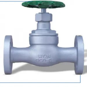 Sản phẩm Van cầu nối bích Copy 300x300 — Công Ty TNHH TM Kỹ Thuật PT — MST 0312879851