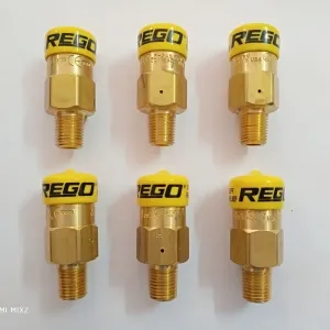 Sản phẩm Van An Toàn Rego DN8 300x300 — Công Ty TNHH TM Kỹ Thuật PT — MST 0312879851