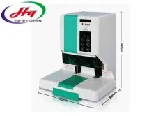 Sản phẩm may dong chung tu ht7032123 — Công Ty TNHH Đầu Tư Thương Mại Dịch Vụ Xuất Nhập Khẩu Hoàng Quân — MST 0312920154
