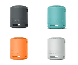 Sản phẩm loa bluetooth sony srs xb100_1691989688 — Công Ty TNHH Thương Mại Logico — MST 0312925219