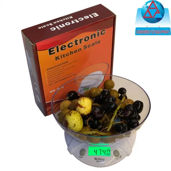 Sản phẩm 1 8108_555x555 — Cân Điện Tử Bảo Phát - Công Ty TNHH Sản Xuất Thương Mại Dịch Vụ Xuất Nhập Khẩu
Bảo Phát — MST 0312929943