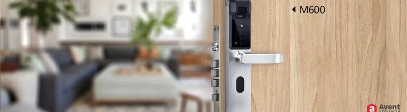 Sản phẩm 171289288386611 — Công Ty TNHH Thương Mại Dịch Vụ Xuất Nhập Khẩu Tuấn Thịnh — MST 0312934277