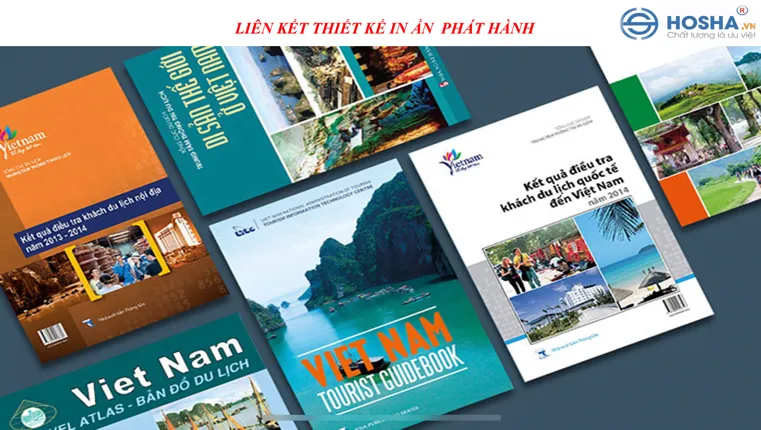 Sản phẩm lienket — Công Ty Cổ Phần HOSHA GROUP — MST 0312934608