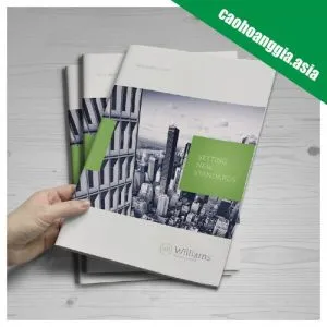 Sản phẩm in catalogue gia re o hcm chg 300x300 — In ấn Cao Hoàng Gia - Công Ty TNHH Thương Mại Cao Hoàng Gia — MST 0312934661