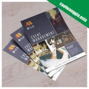 Sản phẩm in to roi 300x300 — In ấn Cao Hoàng Gia - Công Ty TNHH Thương Mại Cao Hoàng Gia — MST 0312934661
