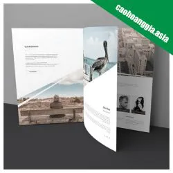 Sản phẩm in catalogue gia re tphcm — In ấn Cao Hoàng Gia - Công Ty TNHH Thương Mại Cao Hoàng Gia — MST 0312934661