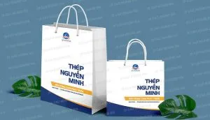 Sản phẩm in_tui_giay 300x172 — In ấn Cao Hoàng Gia - Công Ty TNHH Thương Mại Cao Hoàng Gia — MST 0312934661