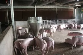 Sản phẩm tam lam mat cho trai heo — Công Ty TNHH Kinh Doanh Thương Mại Dịch Vụ Kỹ Thuật Trường Phát — MST 0312947942