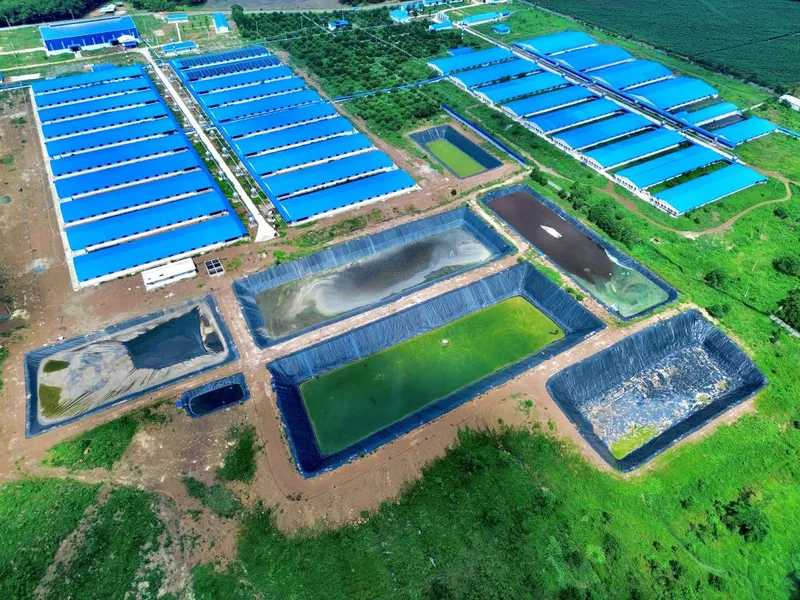 Sản phẩm hai quang 1 — Công Ty TNHH Kỹ Thuật Bông Sen Vàng — MST 0312949347