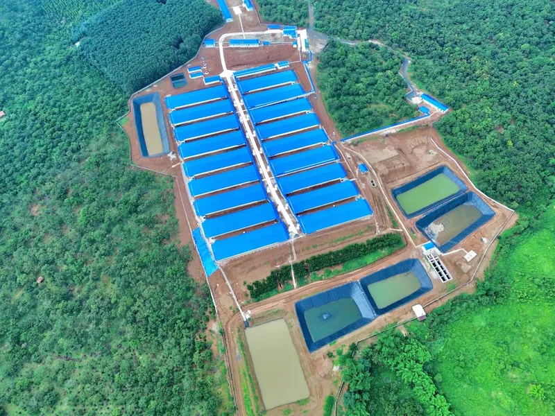 Sản phẩm phu binh 2 — Công Ty TNHH Kỹ Thuật Bông Sen Vàng — MST 0312949347