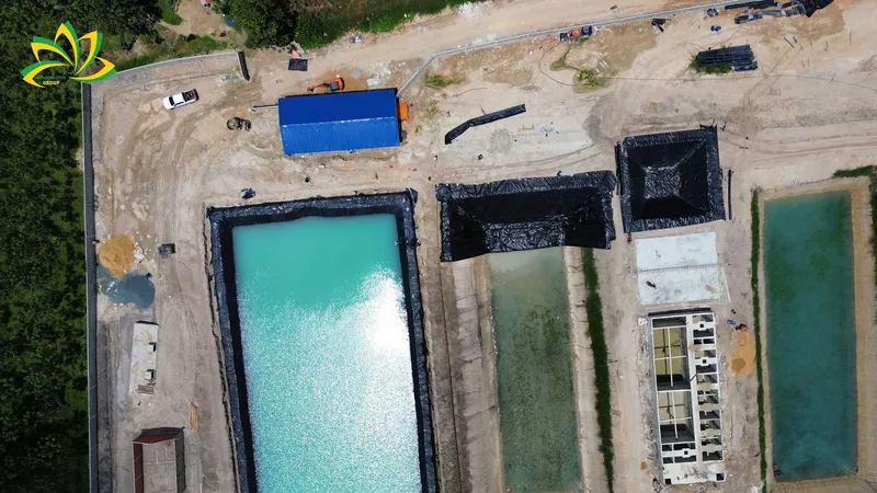 Sản phẩm mang chong tham hdpe tay ninh 1 — Công Ty TNHH Kỹ Thuật Bông Sen Vàng — MST 0312949347